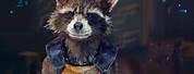 Marvel's Guardians of the Galaxy Rocket Raccoon