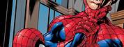 Marvel Ultimate Spider-Man Books