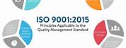 Meaning of ISO 9000 PDF