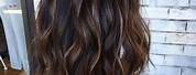 Medium Length Dark Brown Hair with Highlights