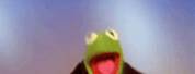 Merry Christmas and Happy New Year Kermit the Frog GIF