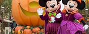 Mickey and Minnie Mouse Disneyland Halloween