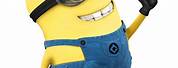 Minion Despicable Me Characters