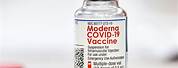 Moderna Covid Vaccine