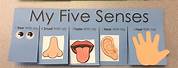 My Five Senses Art and Crafts for Toddlers