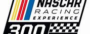 NASCAR Racing Experience 300 PNG