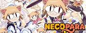 Neco Arc YouTube Banner