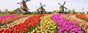Netherlands Tourist Attractions