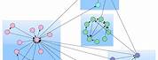 Network Graph Cluster