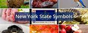 New York State Symbols Garnet Cartoon