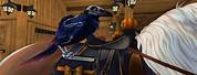 Nightwing Raven SSO
