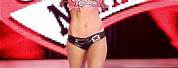 Nikki Bella Red and Silver Ring Gear