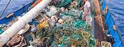 Ocean Plastic Clean Up