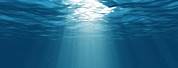 Ocean Underwater Background Pictures