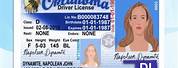 Oklahoma Driver License Name Layout