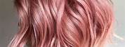 Pastel Rose Gold Hair Tips