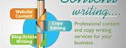 Professional Services Website Content Writing Examples