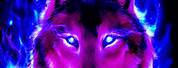 Purple Galaxy Wolf Baxckground