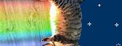 Rainbow Cat Meme Sprite Sheet