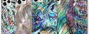Real Abalone Shell Phone Case