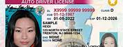 RealID NJ License