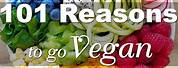 Reasons to Go Vegetarian
