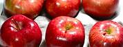 Red Delicious Apple 4015