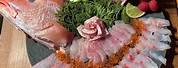 Red Snapper Sashimi