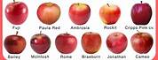 Red and Yellow Apple's Names