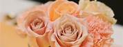 Rose Gold Centerpieces for Wedding