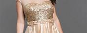 Rose Gold Plus Size Semi Formal Dresses