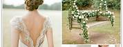 Sage Green and Champagne Wedding Colors