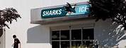 San Jose Sharks Practice Facility Banners