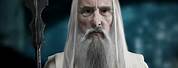 Saruman the White Actor
