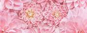 Shades of Pink Flower Background