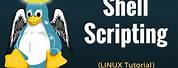 Shell Scripting in Linux for Beginners