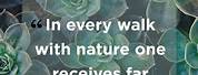 Short Nature-Themed Quotes