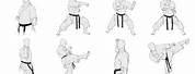 Shotokan Stances Drawn