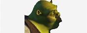Shrek Kiss Wazowski