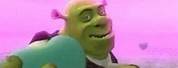 Shrek Love You Picture