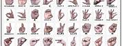 Sign Language Hand Signs