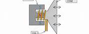 Signal Generator and Loudspeaker Diagram