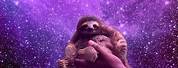 Sloth in Space Wallpaper for Laptop