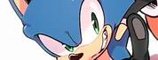 Sonic and Shadow Matching PFP