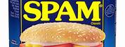 Spam Luncheon Meat