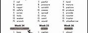 Spelling Patterns Worksheets for Grade 2