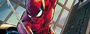 Spider-Man Comic Book Marvel Drawings