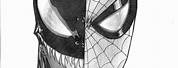 Spider-Man Venom Drawing Black and White