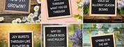 Spring Letter Board Funny Quotes