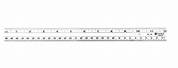 Standard Ruler 12 Inches